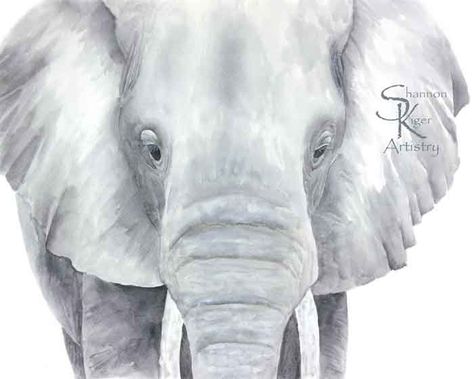 African Elephant picture