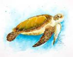 Sea Turtle