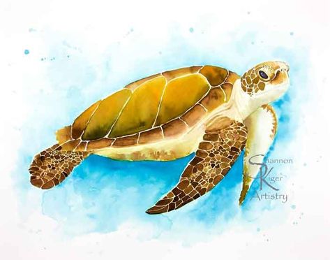 Sea Turtle picture