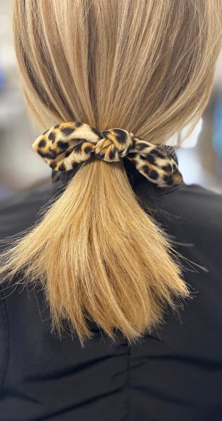 Leopard Hair Ties