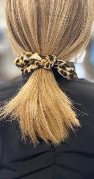 Leopard Hair Ties picture