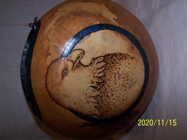 Bald Eagle on a Gourd picture