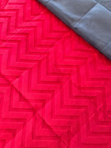 Red Cuddle Minky / Gray Cuddle Minky Weighted Blanket, (42x70 inches) picture