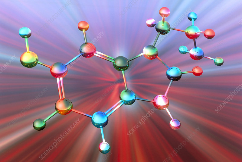 The Serotonin Shoppe