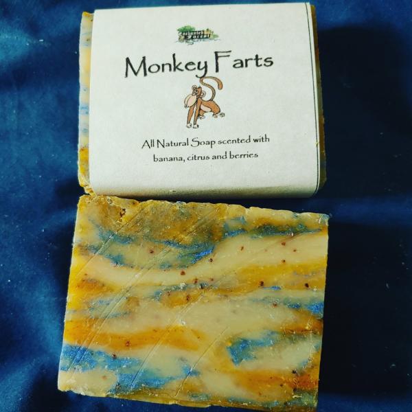 Monkey Farts Soap Bar picture