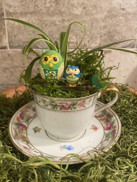 Whimiscal Owls in Teacup