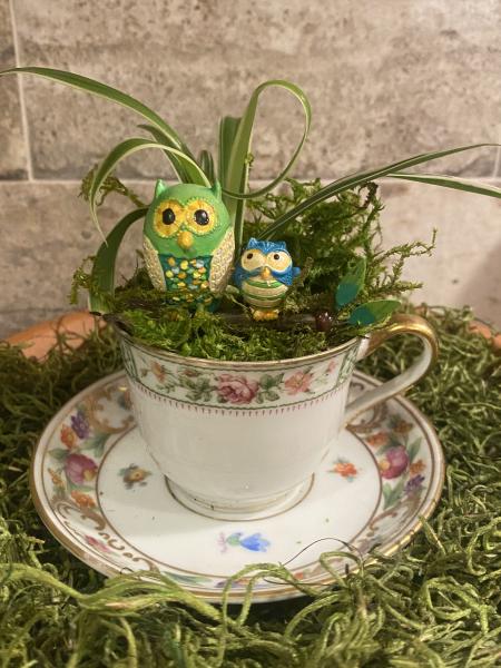 Whimiscal Owls in Teacup picture