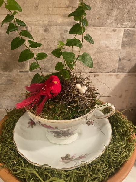 Red bird and Nest Teacup Garden