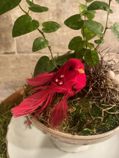 Red bird and Nest Teacup Garden picture