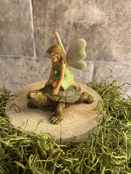 Fairy Girl Riding on Turtle