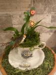 Hummingbird Teacup Garden