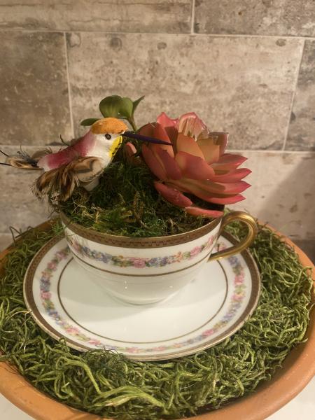 Hummingbird Teacup Garden