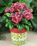 Miniature Potted Geraniums
