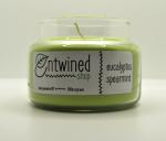 Eucalyptus Spearmint 10oz. Soy Candles