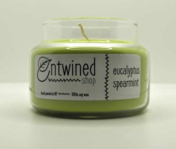 Eucalyptus Spearmint 10oz. Soy Candles picture