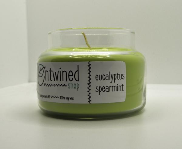 Eucalyptus Spearmint 10oz. Soy Candles picture