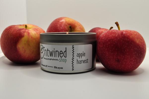 Apple Harvest 6oz Tin Candle picture