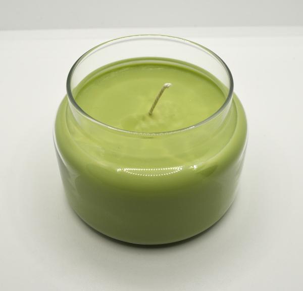 Eucalyptus Spearmint 10oz. Soy Candles picture