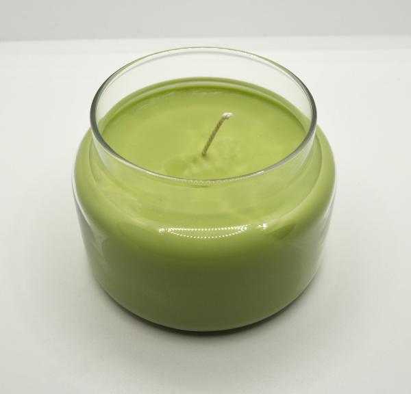 Eucalyptus Spearmint 10oz. Soy Candles picture