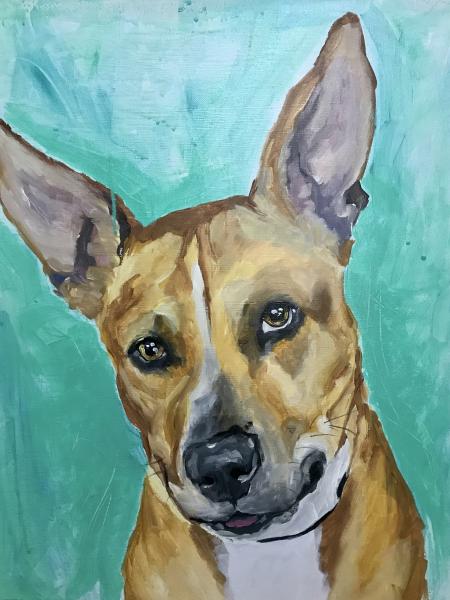 16x20 Pet Portrait on Canvas picture