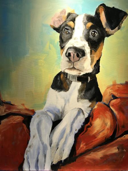 16x20 Pet Portrait on Canvas picture