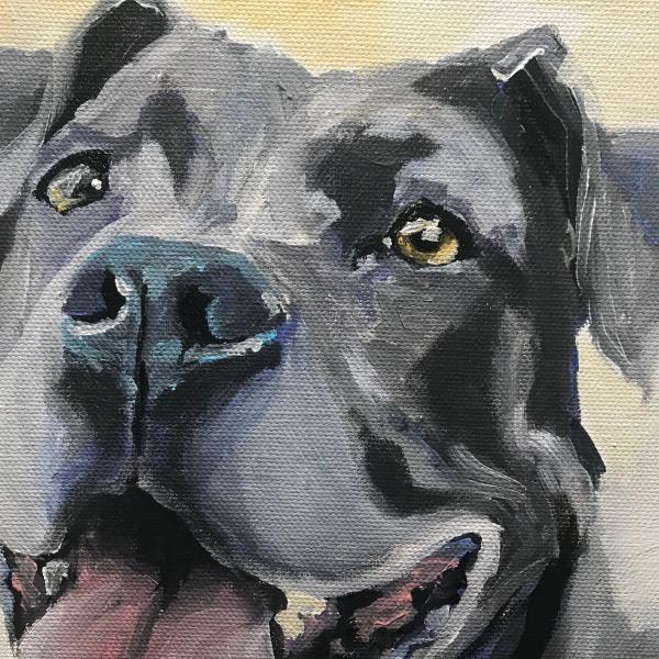 12x12 Pet Portrait on Canvas picture