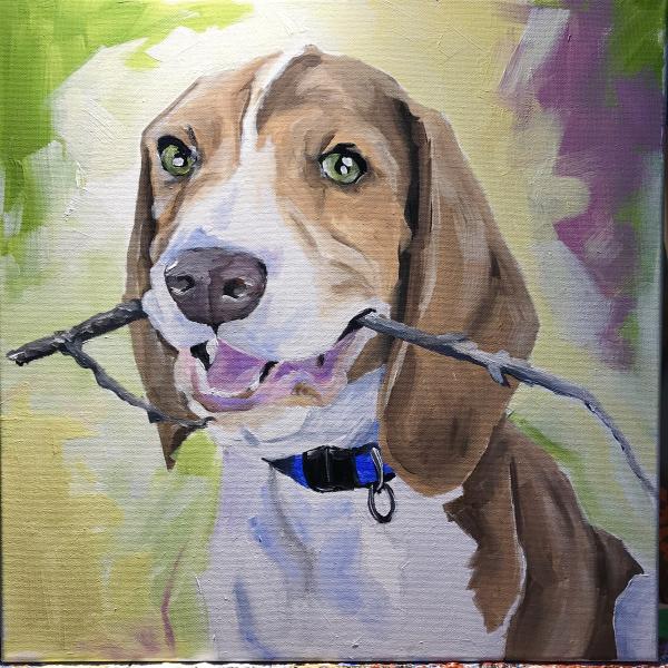 20x20 Pet Portrait on Canvas picture