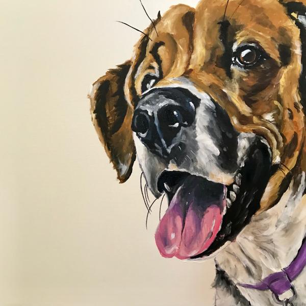 20x20 Pet Portrait on Canvas picture