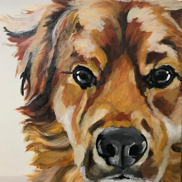 12x12 Pet Portrait on Canvas picture