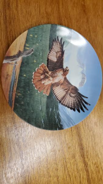 Knowles Hawk Plate picture