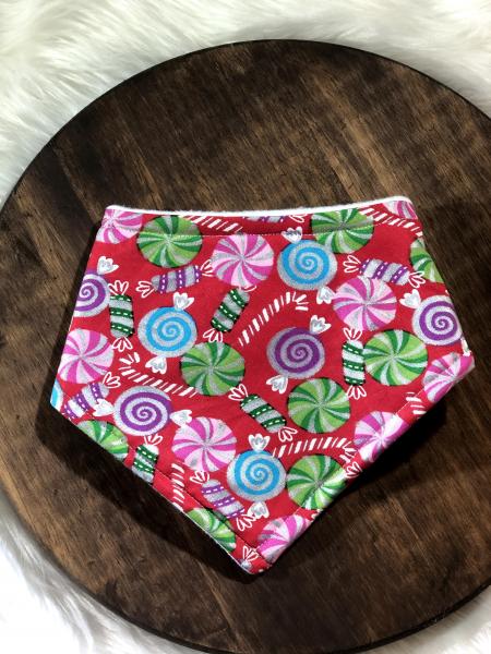 Candy Land Bandana Bib