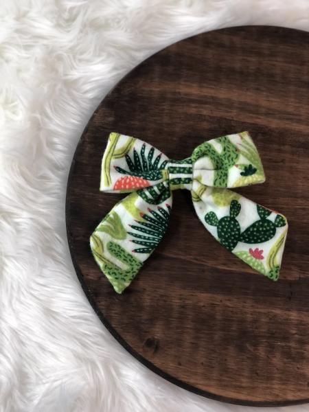 Succulents Clip Bow