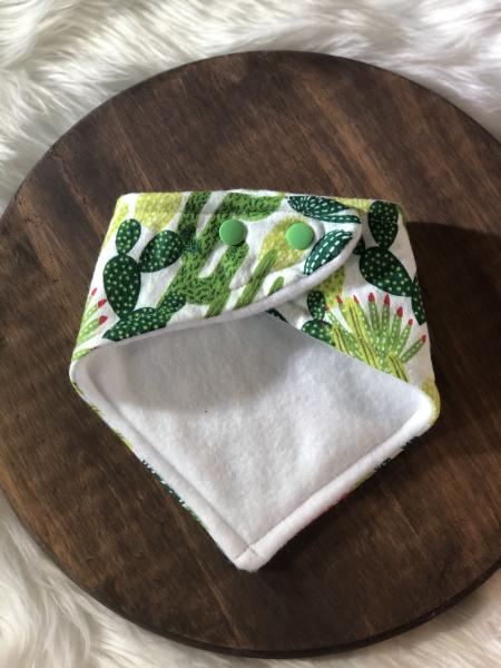 Succulents Bandana Bib picture