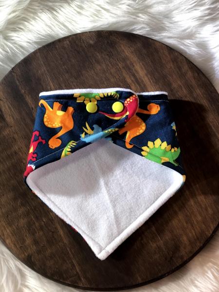 Bright Dinos Bandana Bib picture