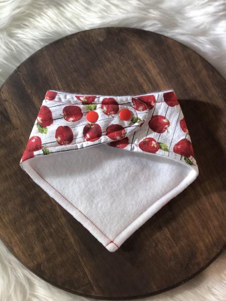 Apples Bandana Bib picture