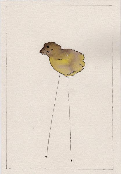 Bird 2