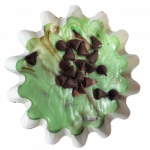Mint Chocolate Chip Fudge 4 Pack with FREE SHIPPING