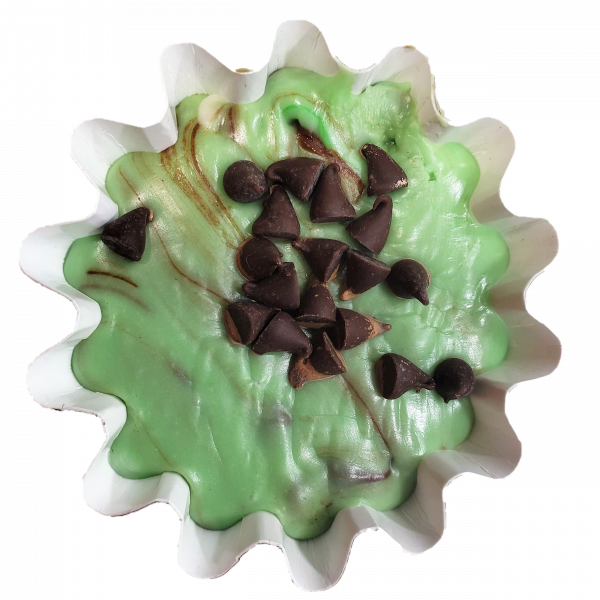 Mint Chocolate Chip Fudge 4 Pack with FREE SHIPPING
