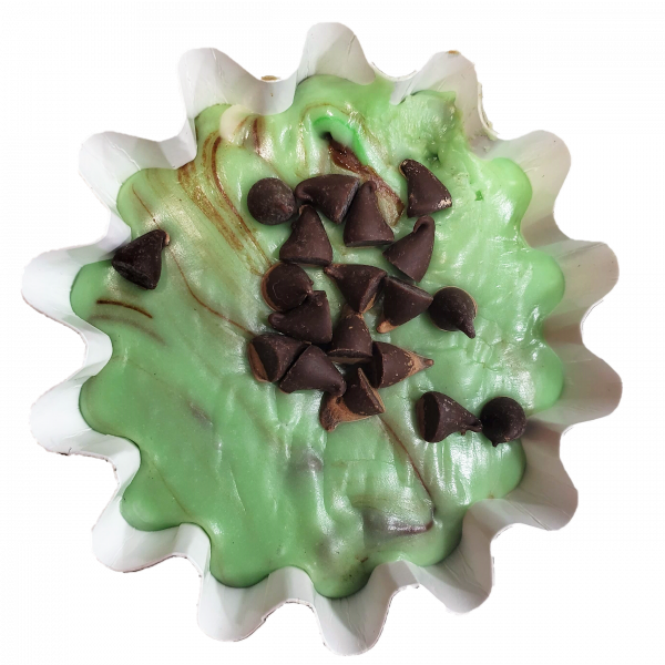 Mint Chocolate Chip Fudge 4 Pack with FREE SHIPPING picture