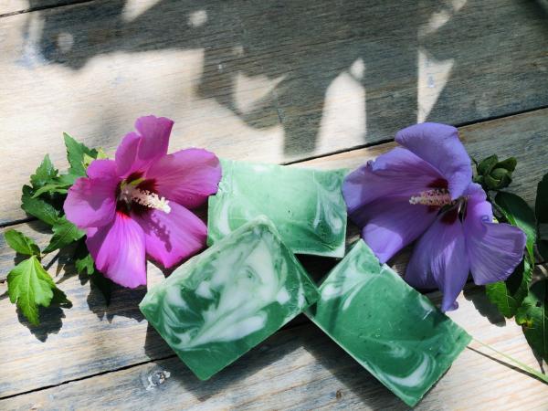 Green Tea Cucumber Soap