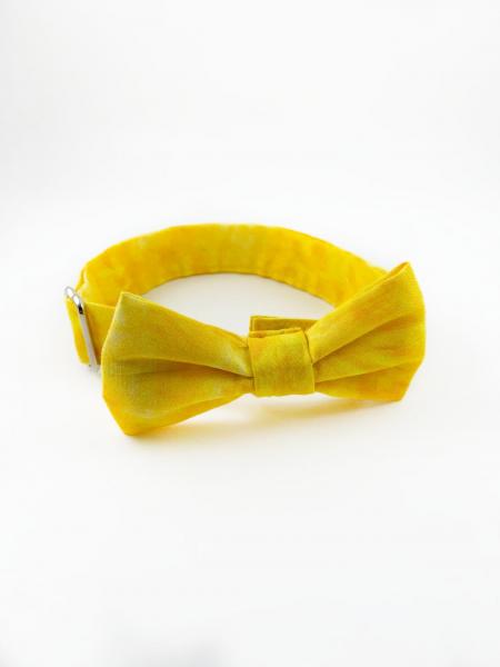 Yellow Dog Bow