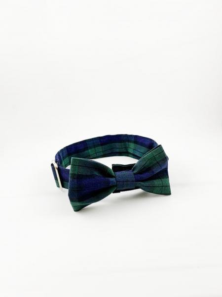 Blue/Green Dog Bow