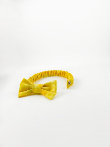 Yellow Cat Bow picture