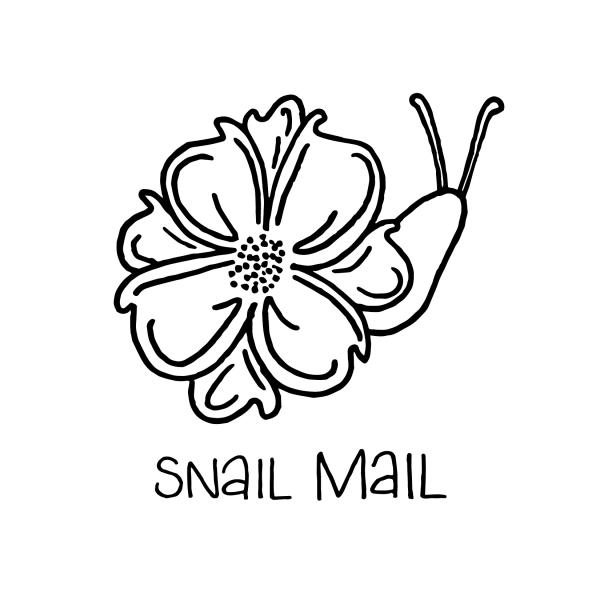 Snail Mail