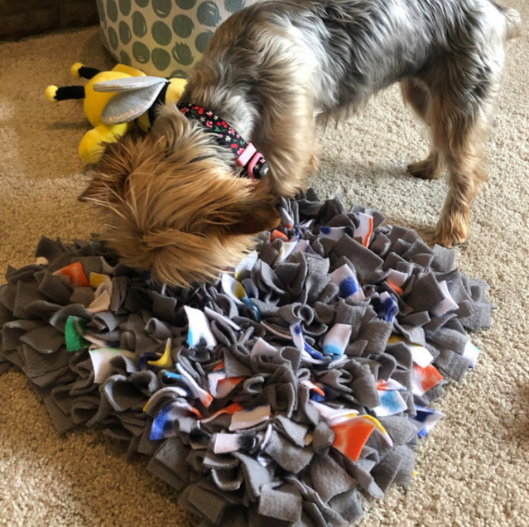 Snuffle Mat 48&rdquo;x24&rdquo; picture