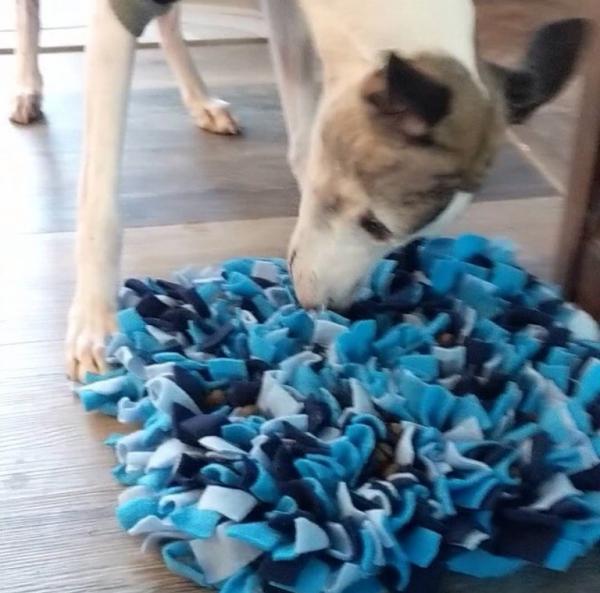 Snuffle Mat 24”x12” picture