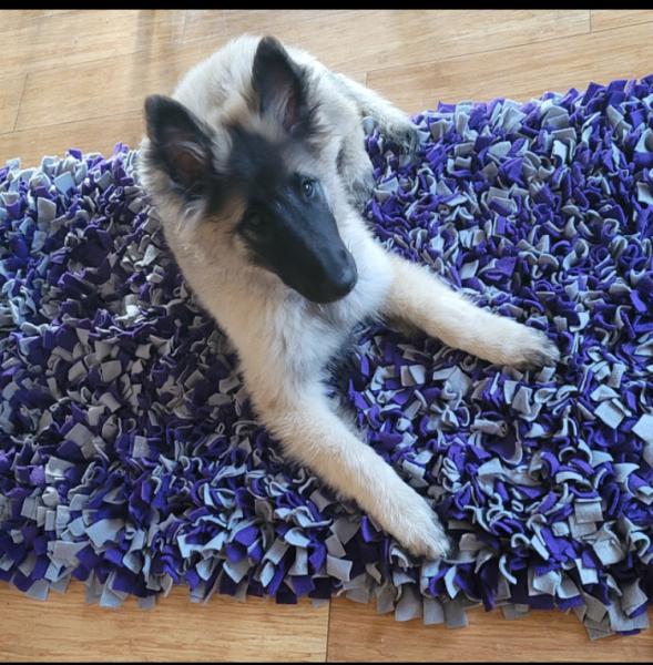 Snuffle Mat 24”x24” picture