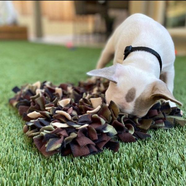 Snuffle Mat 36”x36” picture