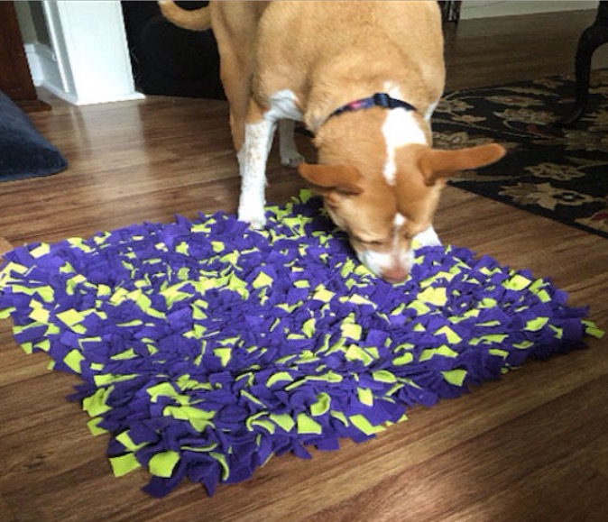 Snuffle Mat 36”x12” picture