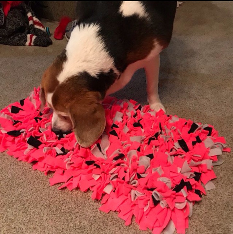 Snuffle Mat 12&rdquo;x12&rdquo; picture